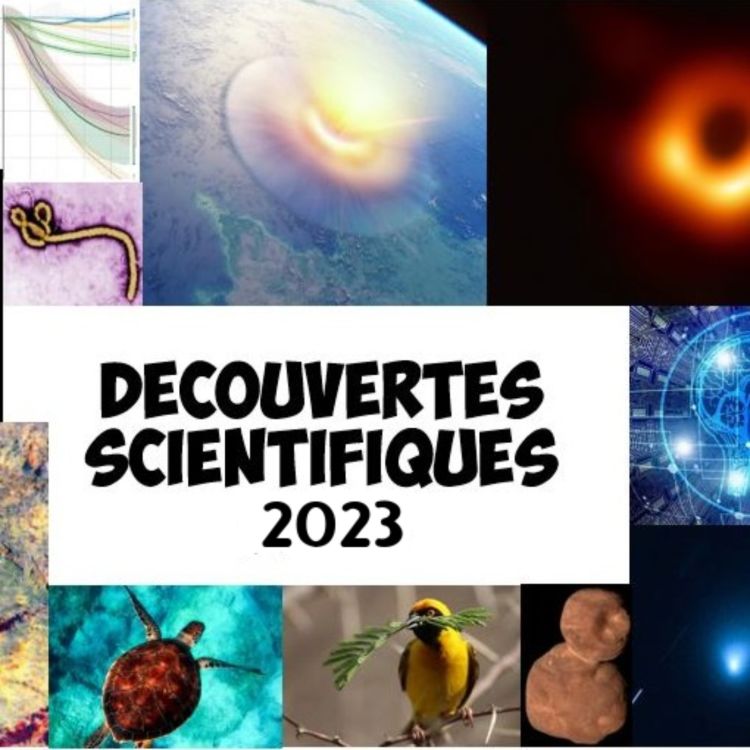 cover art for Découvertes en 2023