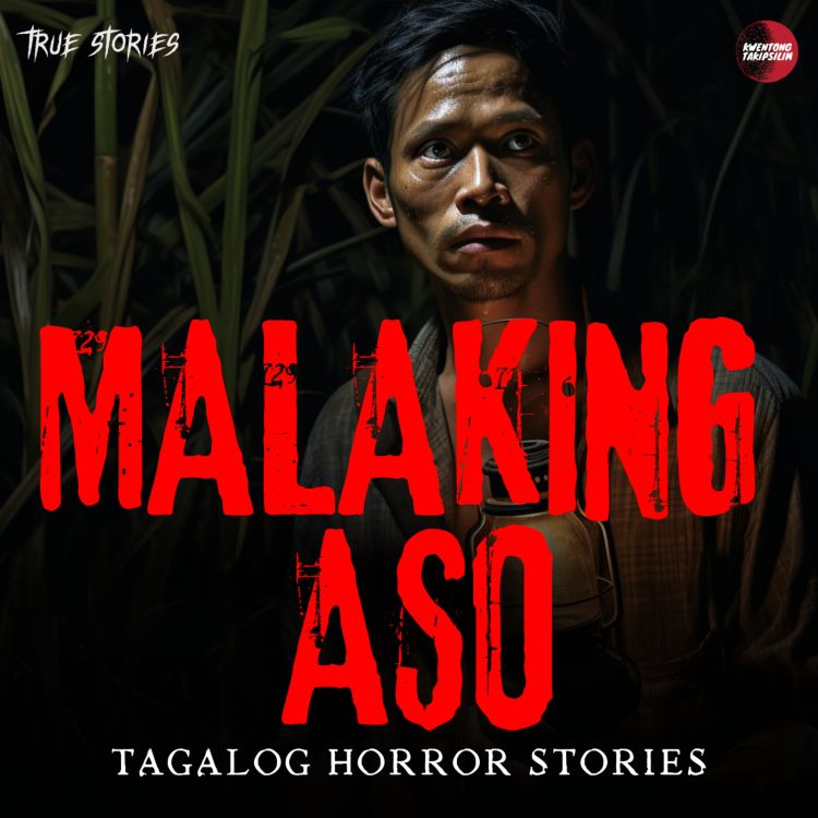 cover art for MALAKING ASO - ASWANG TRUE STORY - TAGALOG HORROR STORY 