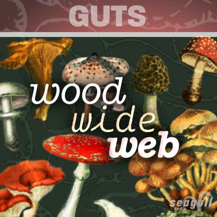 cover art for Wood Wide Web - Trailer