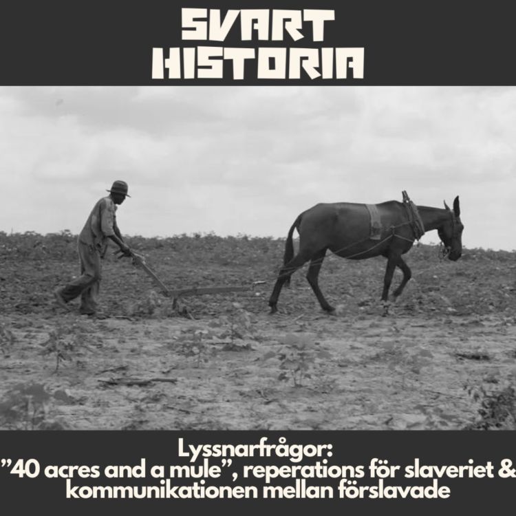 cover art for Lyssnarfrågor: ”40 acres and a mule”, reperations för slaveriet & kommunikationen mellan förslavade