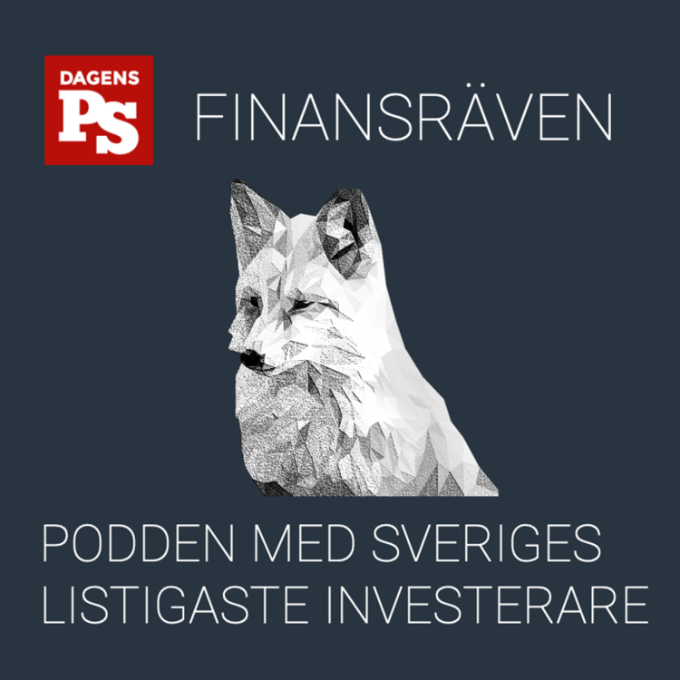 cover art for 51. Storsatsning på Sveriges största förnybara energikälla