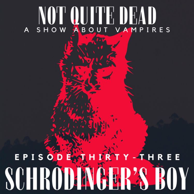 cover art for XXXIII: Schrödinger's Boy