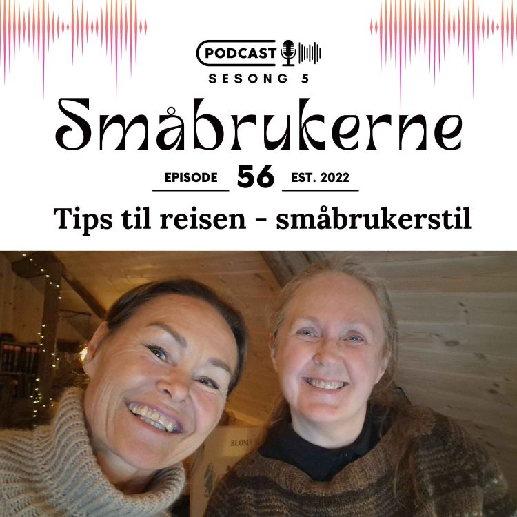 cover art for Tips til reisen - småbrukerstil