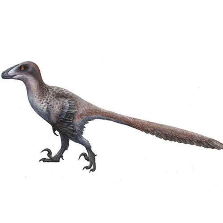 Deinonychus, the Terrible Claw - Paleo Bites