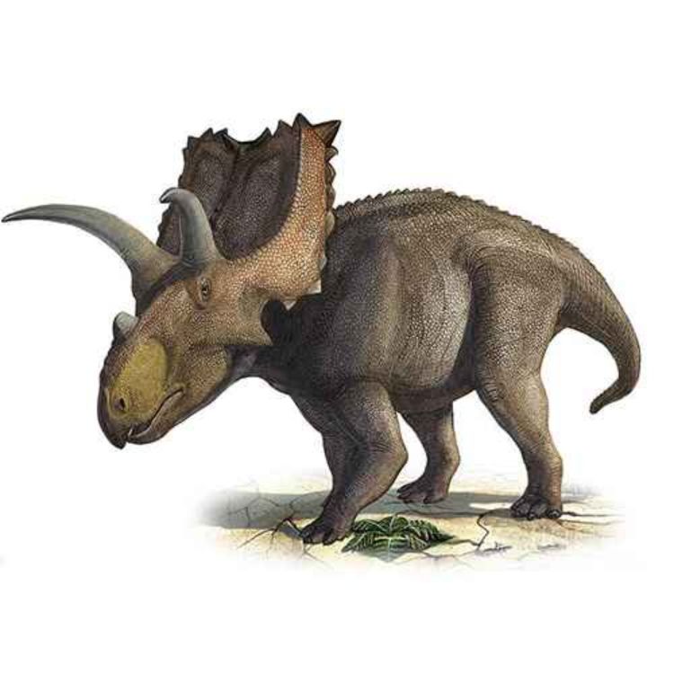 cover art for Coahuilaceratops, the Horned Face of Coahuila