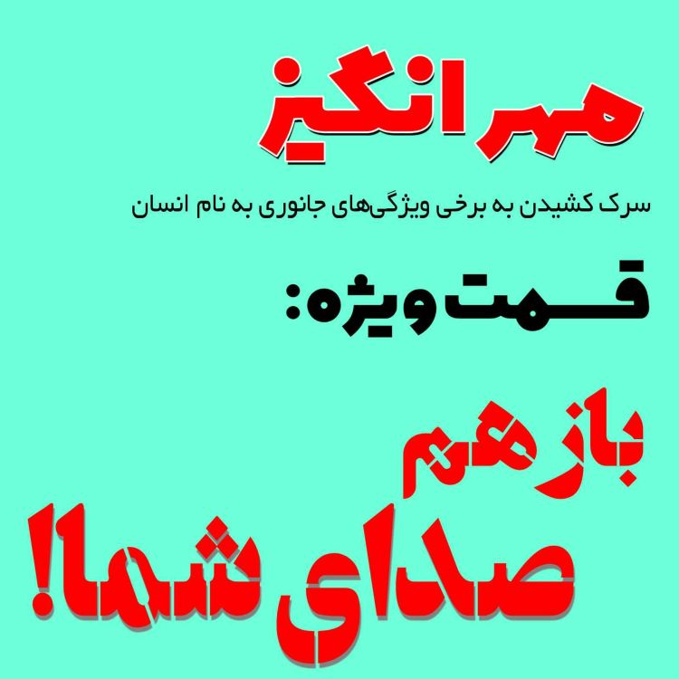 cover art for قسمت ویژه: باز هم صدای شما!