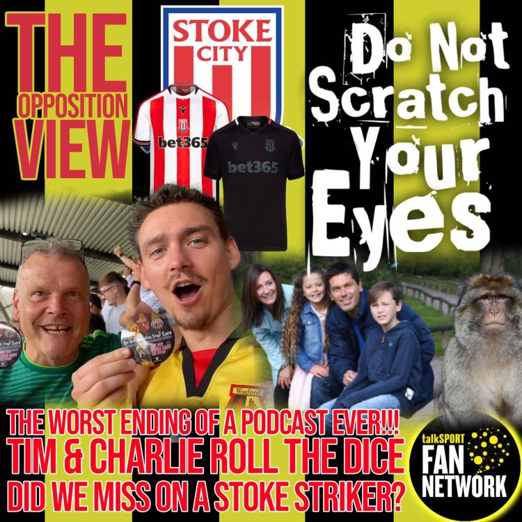 cover art for THE OPPOSITION VIEW - STOKE CITY