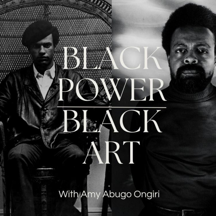 cover art for 20. Black Power, Black Art with Amy Abugo Ongiri