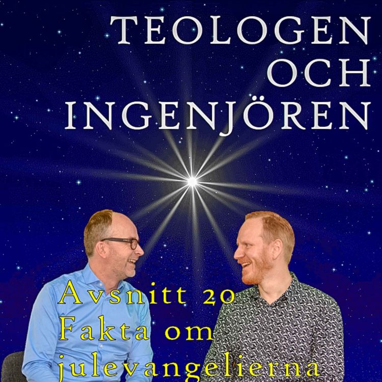 cover art for 20 Fakta om julevangelierna