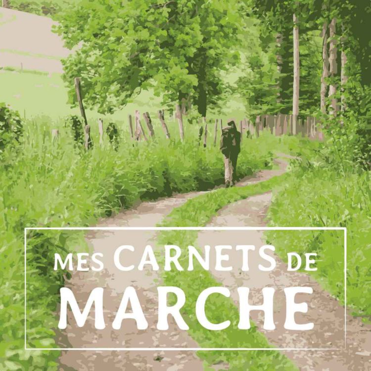 cover art for [BANDE ANNONCE] Mes carnets de marche