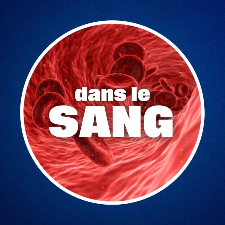 cover art for De quoi le sang est-il composé ?