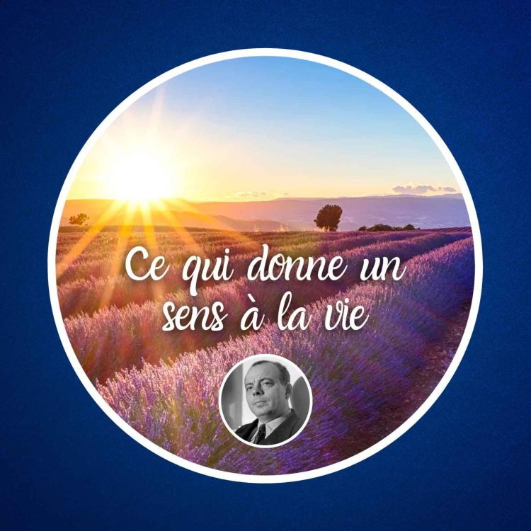 cover art for Ce qui donne un sens à la vie, d'Antoine de Saint-Exupéry 🫛