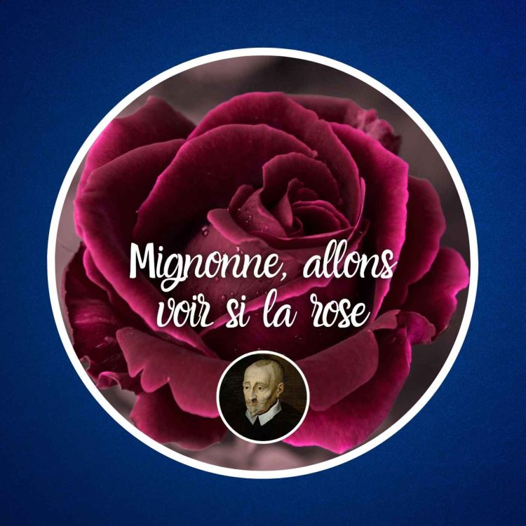 cover art for Mignonne, allons voir si la rose, de Pierre de Ronsard 🌹