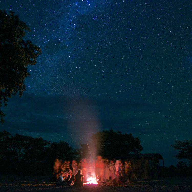 cover art for San Bushmen healing dances in the Kalahari Desert