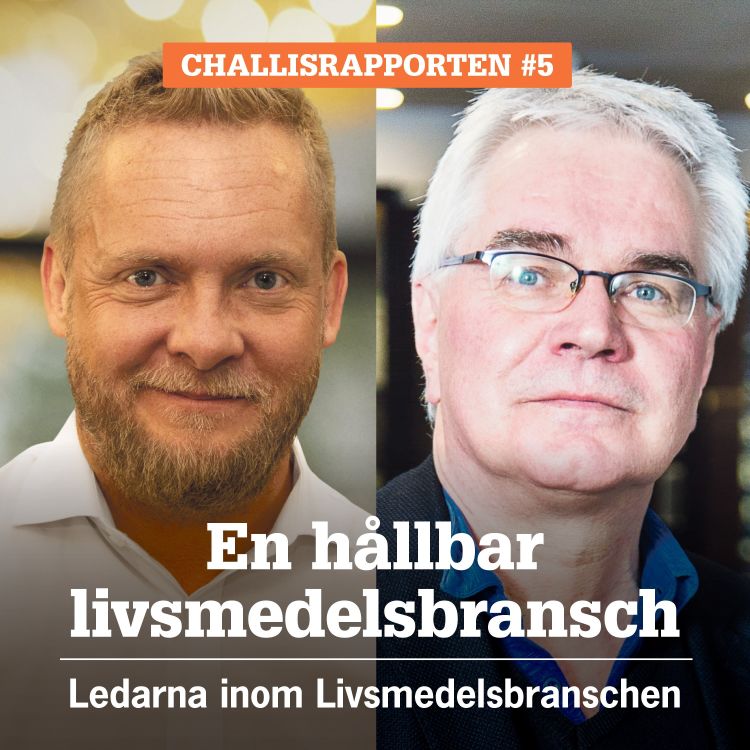 cover art for Challisrapporten 5: Vad är avgörande när vi ska arbeta med hållbarhet?