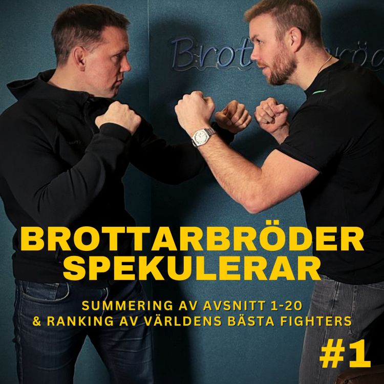 cover art for Brottarbröder spekulerar #1 summering av avsnitt 1-20 & topp tio bästa fighters