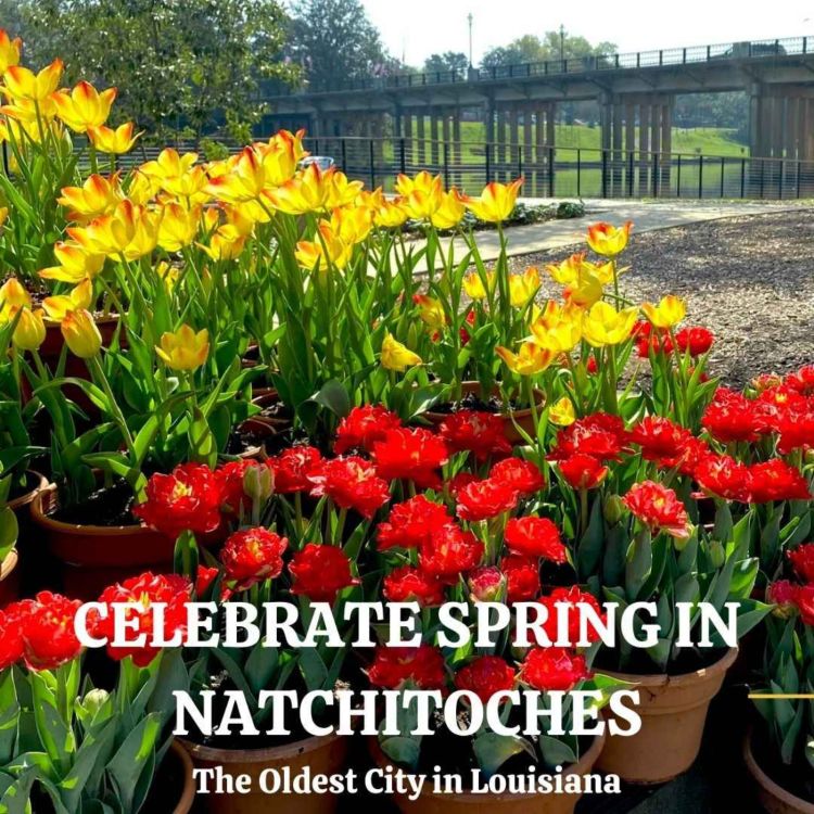 cover art for Arlene Gould - Celebrate Spring in Natchitoches, Louisiana