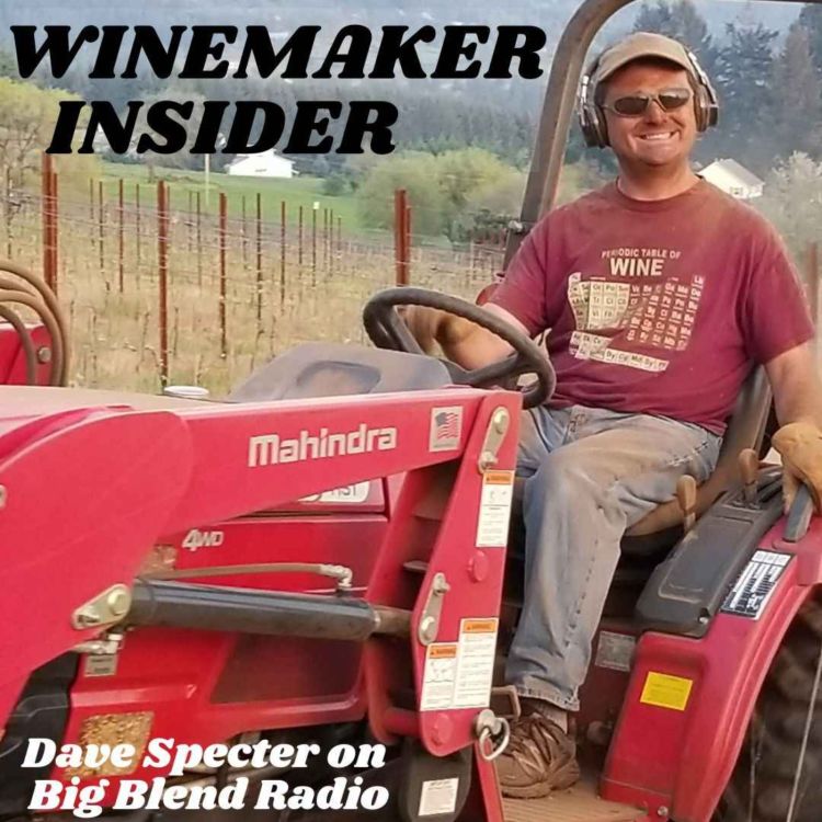 cover art for Winemaker Insider - Dave Specter of Bells Up Winery in Oregon