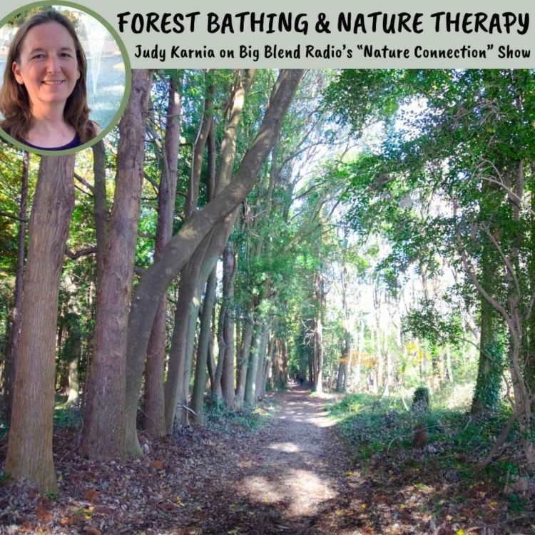 cover art for Judy Karnia - Forest Bathing and Nature Therapy