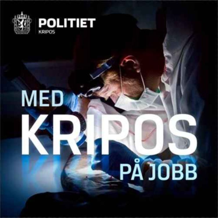 cover art for Politiet på internett