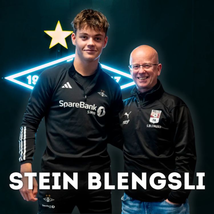 cover art for Stein Blengsli