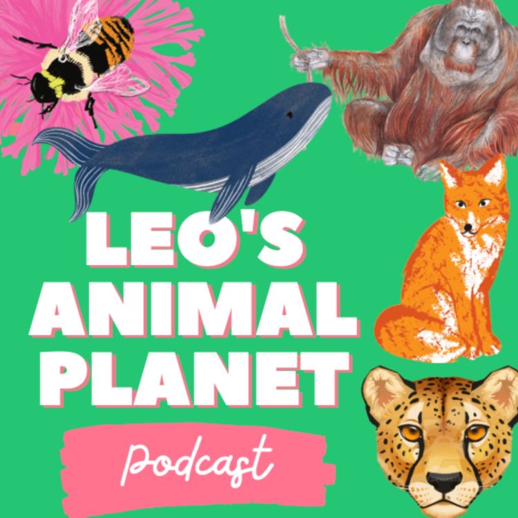 cover art for Leo's Animal Planet Podcast - Introduction