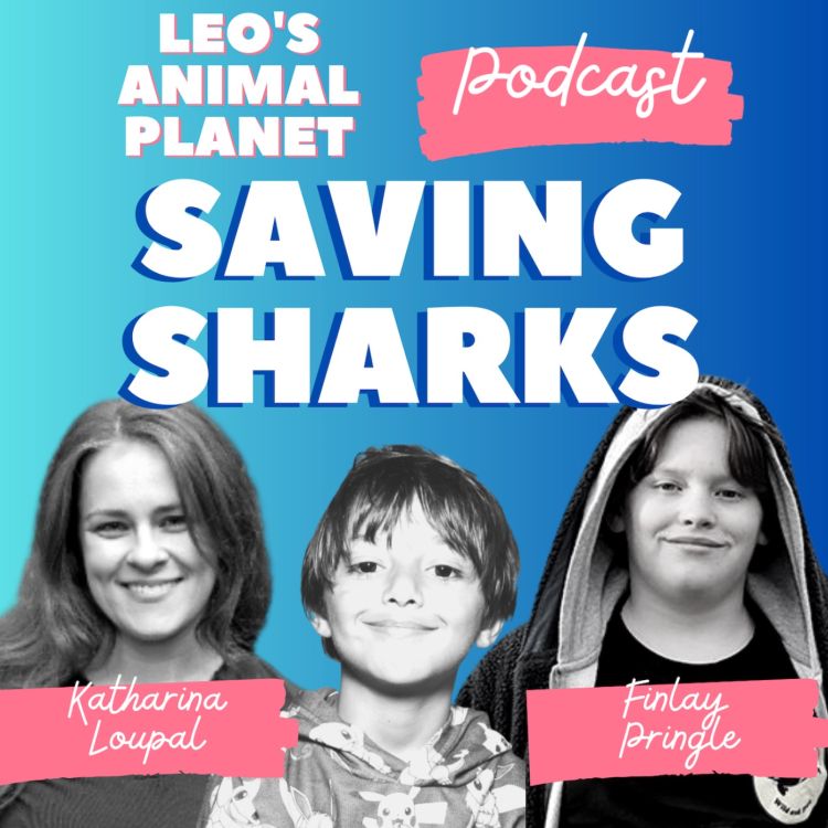 cover art for Saving Sharks with Finlay Pringle and Stop Finning EU