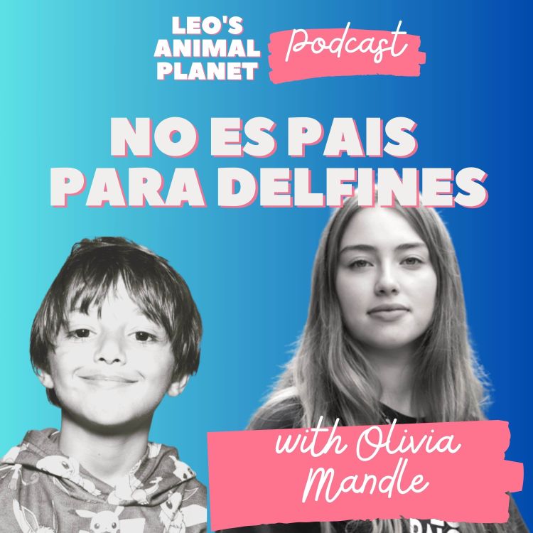 cover art for No es pais para delfines with Olivia Mandle