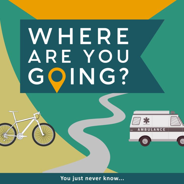 cover art for Ely's Riverside Park, a bike and an ambulance