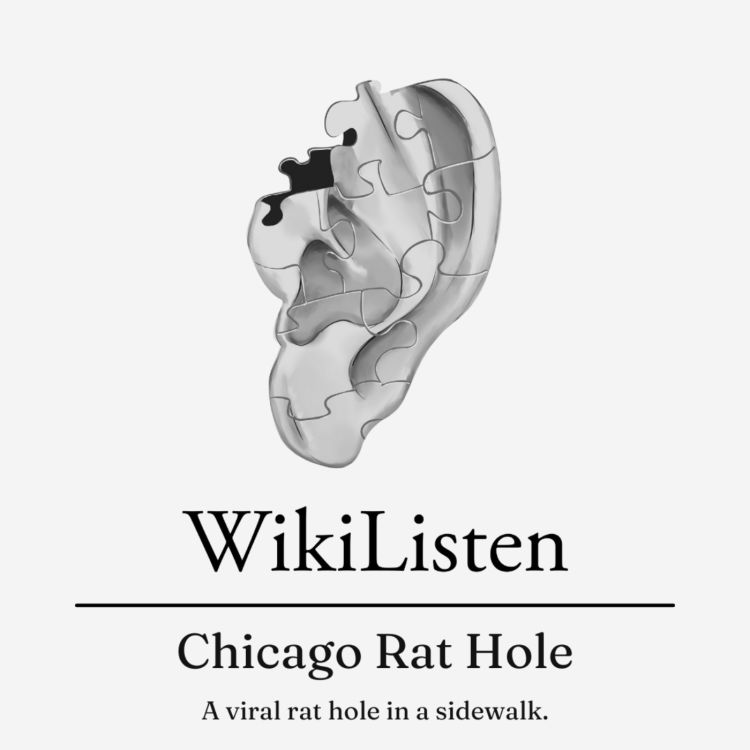 cover art for Chicago Rat Hole