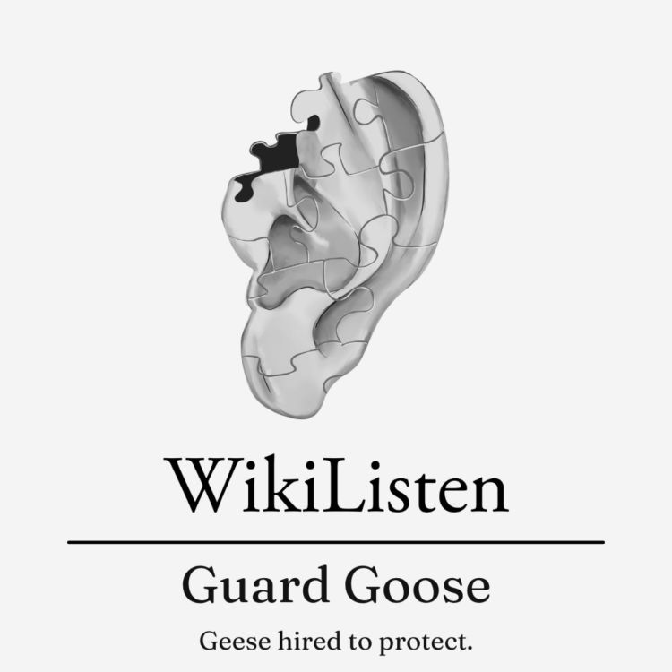 cover art for Guard Goose