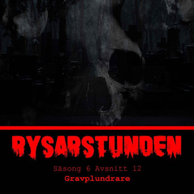 cover art for Gravplundrare