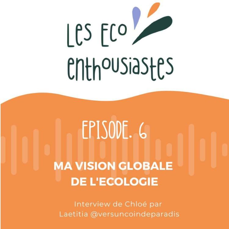 cover art for Ma vision globale de l'écologie