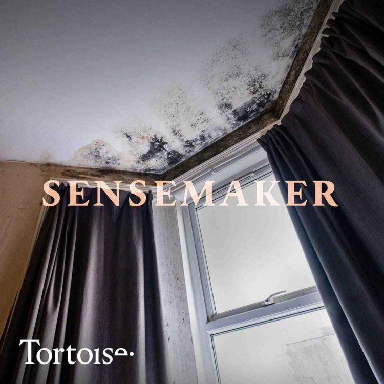 cover art for Sensemaker: Britain’s mouldy homes