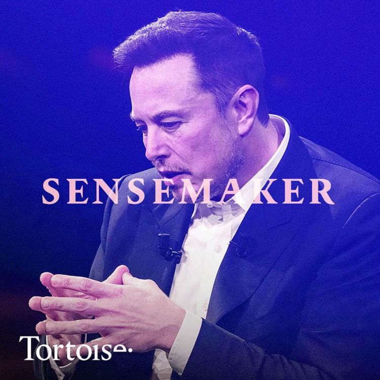 cover art for Sensemaker: Brazil vs Musk