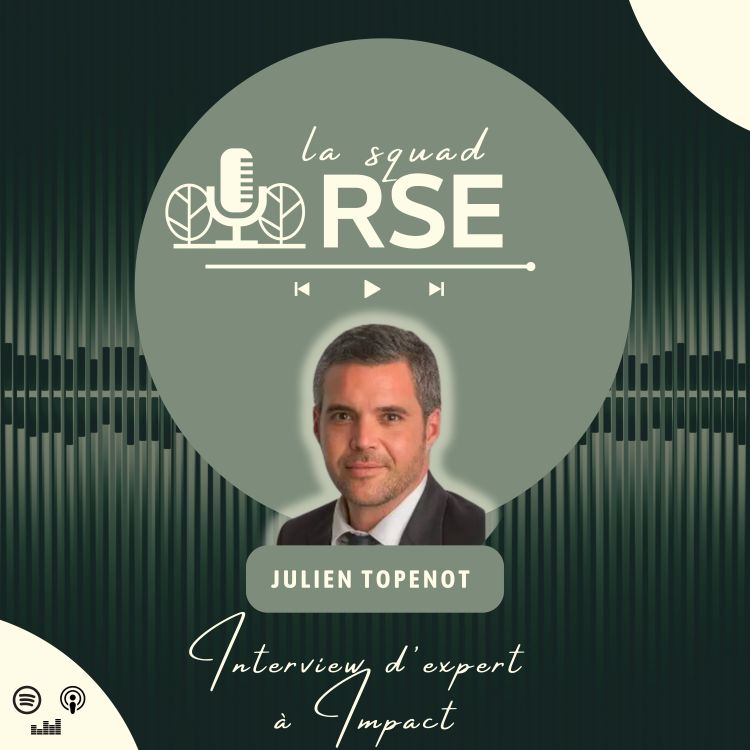 cover art for [Interview d'expert] - Julien Topenot, fondateur de Climax Consulting