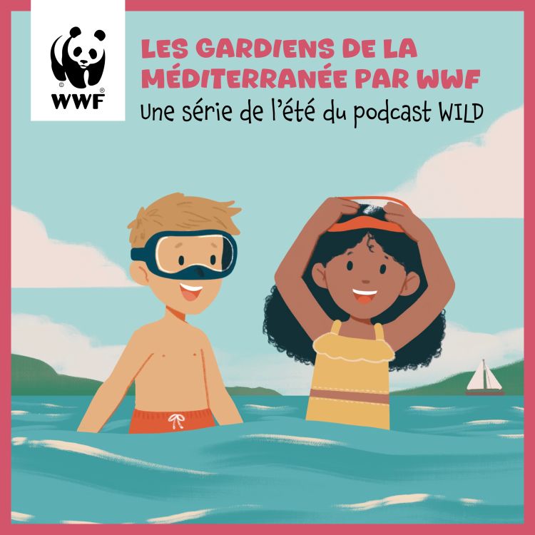 cover art for la Méduse, carnivore et bête comme ses pieds / Emission 13 du WWF