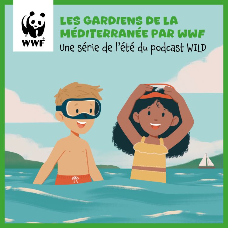 cover art for Le Poulpe : le magicien des mers / Emission 14 du WWF