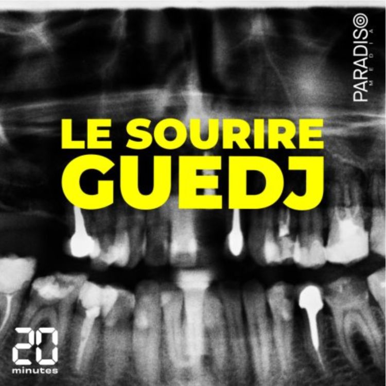 cover art for Le sourire Guedj / 2. Le système