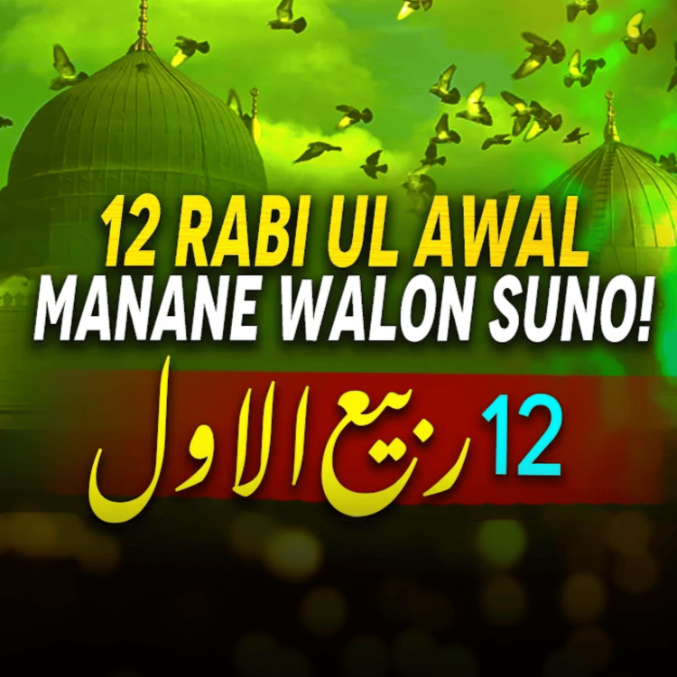 cover art for 12 Rabi ul Awal Manana｜Mufti Tariq Masood Speeches 🕋