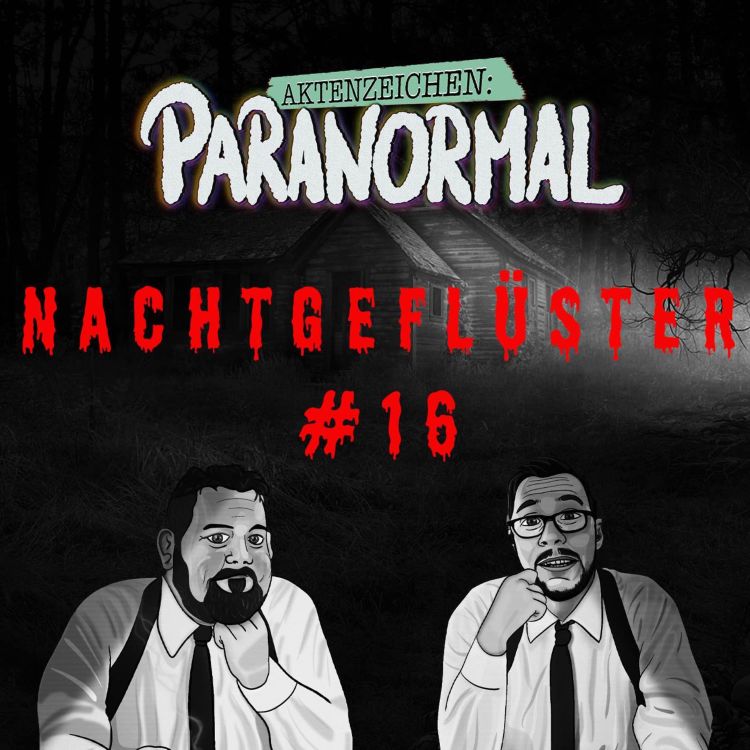 cover art for Nachtgeflüster 16 - Erlebnisse aus der Community 