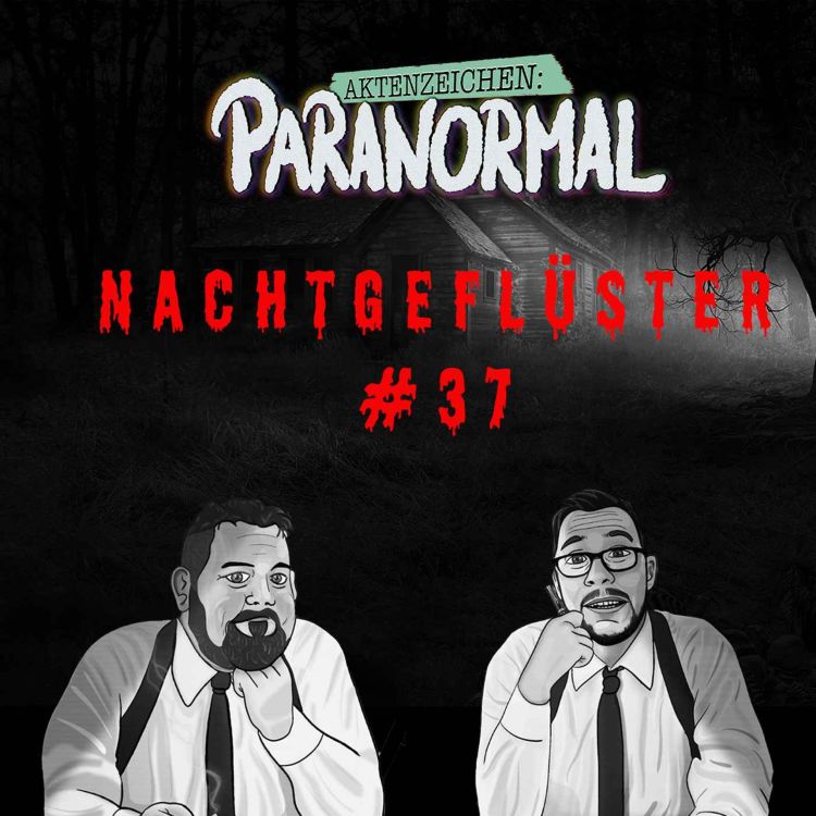 cover art for Aktenzeichen Nachtgeflüster #37: Erlebnisse der Community