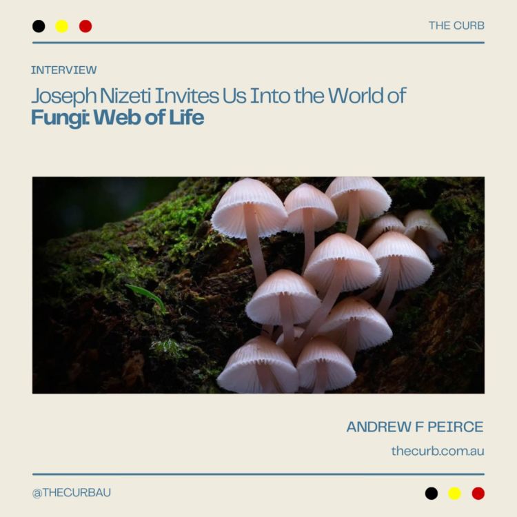 cover art for Joseph Nizeti Invites Us Into the World of Fungi: Web of Life