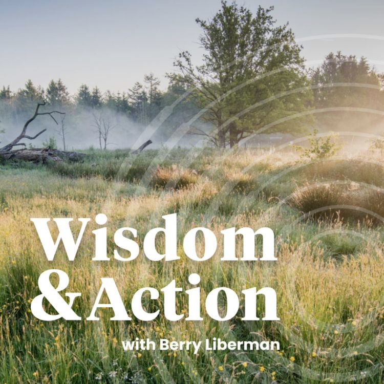 cover art for Welcome to the Wisdom & Action Podcast