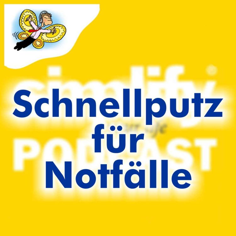 cover art for Schnellputz für Notfälle