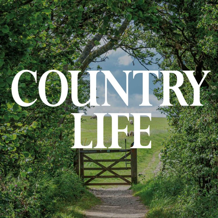 cover art for Buckingham Palace, Taylor Swift, and how to get your house featured in Country Life, with John Goodall