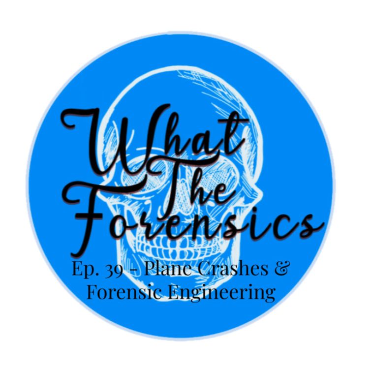 cover art for Ep. 39 - Plane Crashes & Forensic Engineering