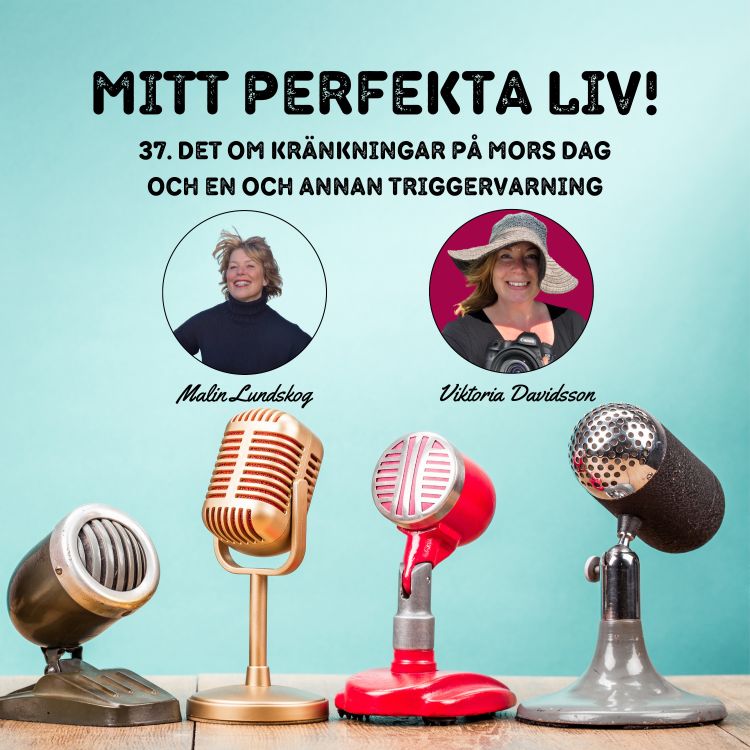 cover art for Det om kränkningar på mors dag