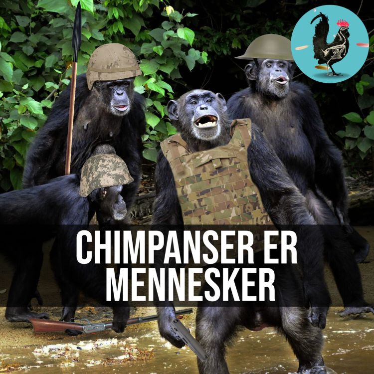 cover art for #045: Brutale og liderlige chimpanser