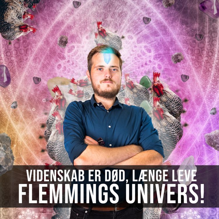 cover art for # Flemmings univers